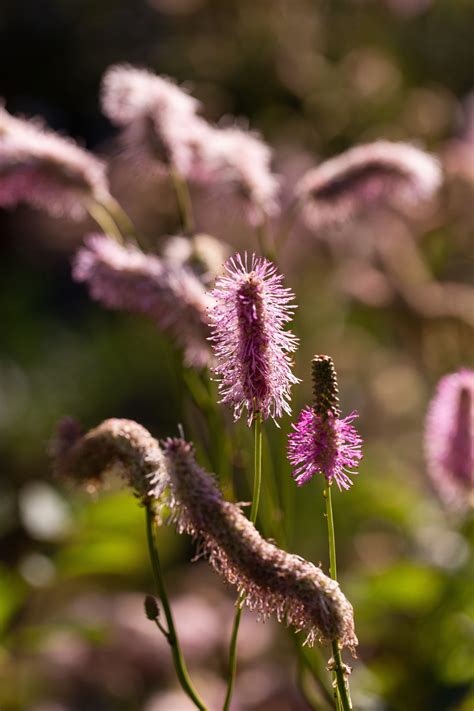 Visitors love the Holden Clough Nursery Bolton by Bowland 6