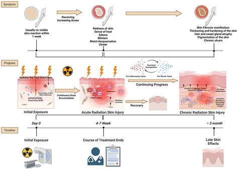Frontiers | Deciphering the fibrotic process: mechanism of chronic radiation skin injury fibrosis