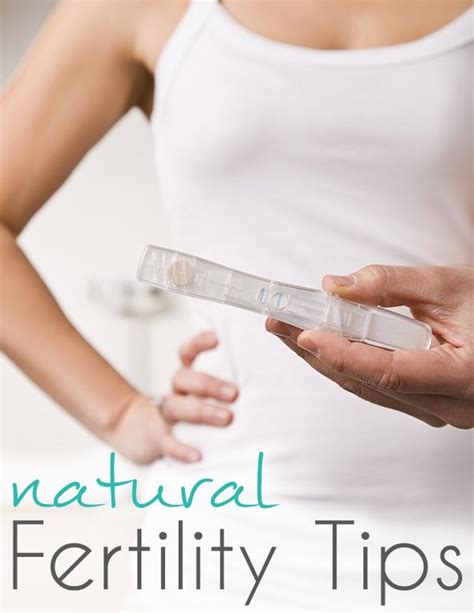 About Best Natual Fertility Tips For Women