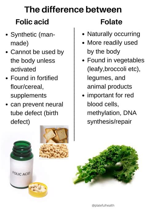 Folic Acid Benefits – لاينز