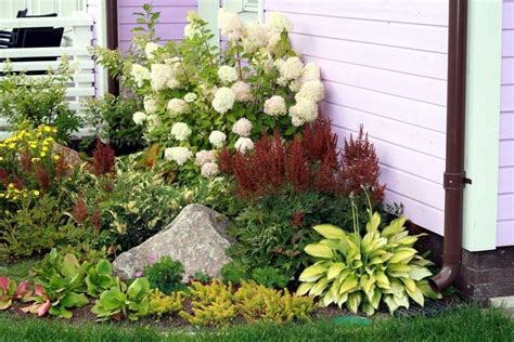 Pin by Любовь Михайловна on идеи композиций | Flower garden, Plants, Garden