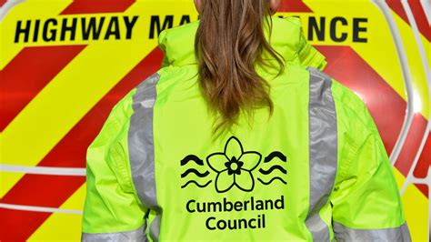 Infected trees to be cut down alongside A595 in Cumbria - BBC News