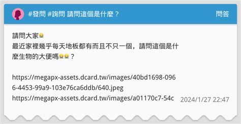 發問 詢問 請問這個是什麼？ 問答板 Dcard