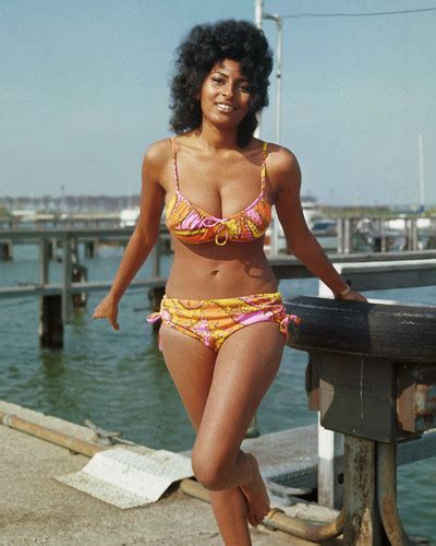 Pam Grier Posters And Photos 202540 Movie Store