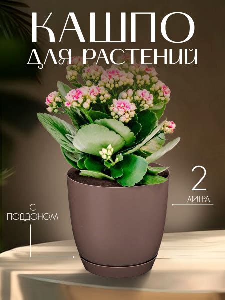 Кашпо, горшок для цветов, растений,цветочный пластиковый для балкона ...