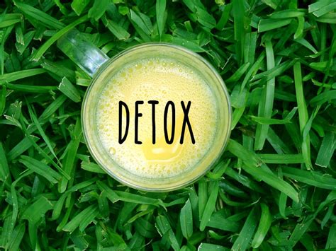 Detoxinex – erfahrungen – test – apotheke – bewertung – preis – kaufen ...