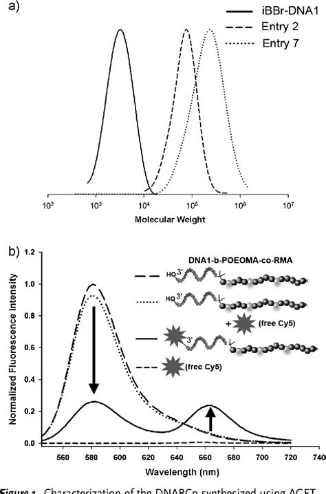 Figure 1 From Solid Phase Incorporation Of An Atrp Initiator For Polymer Dna Biohybrids