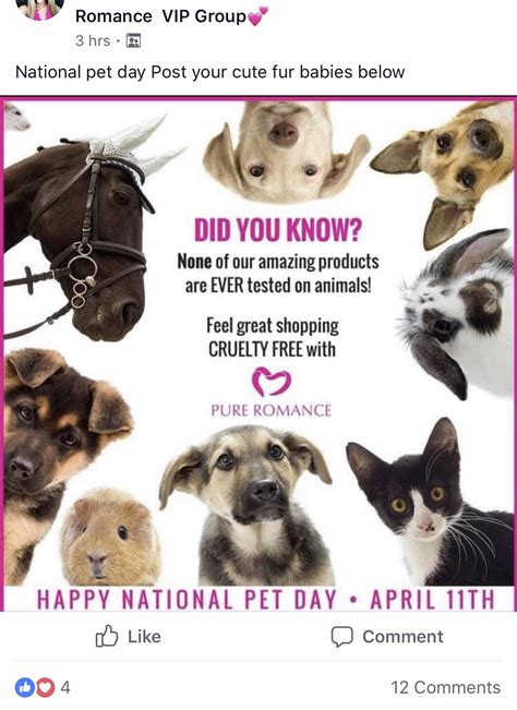 Nothing Says National Pets Day Quite Like A Dildo R Antimlm