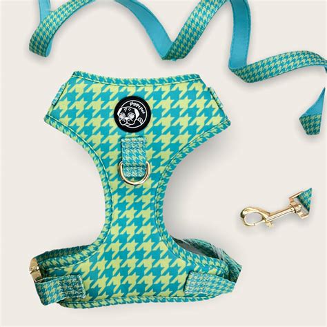 Set Pettorina Ad H Regolabile E Guinzaglio Pied De Wouf Green Piggy Pet