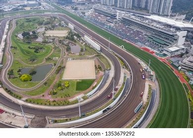 Sha Tin Hong Kong 17 March Stock Photo 1353679292 | Shutterstock