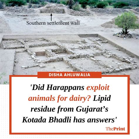 ThePrintIndia On Twitter The Harappan Site Of Kotada Bhadli Contains