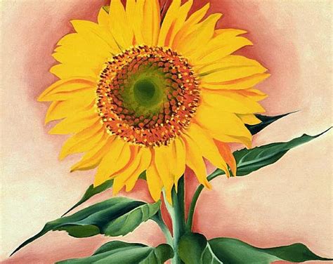 A Sunflower From Maggie By Georgia O Keeffe Oil On Canvas 1937