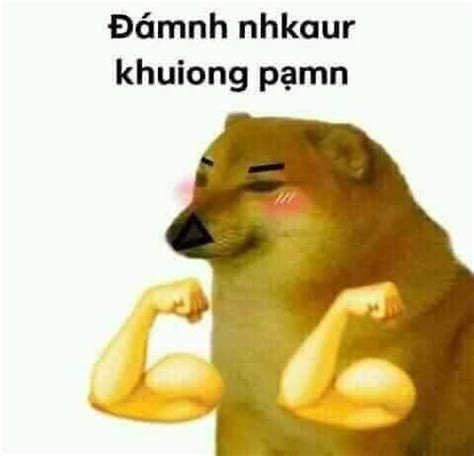 Tổng hợp 25 hình ảnh meme đánh nhau vui nhộn mà bạn nên xem