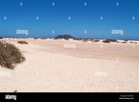 Fuerteventura Canary Islands North Africa Spain View Of The Beach