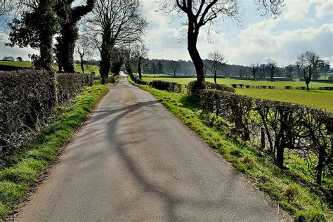 Tree Shadows Along Lisnarable Road Kenneth Allen Cc By Sa 2 0