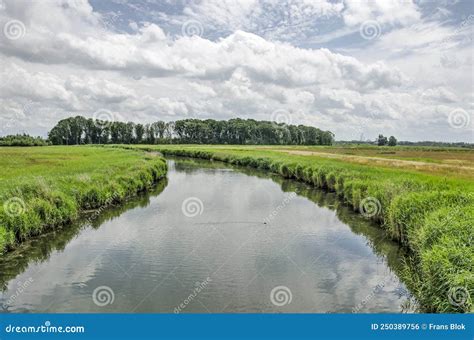 Curving Creek In A Dutch Polder Stock Photo Image Of Grass Brabant