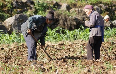 80後不願種地、90後不會種地，農村將如何發展？土地怎麼辦？ 每日頭條