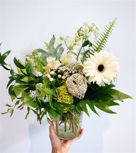 coxcomb flower 9