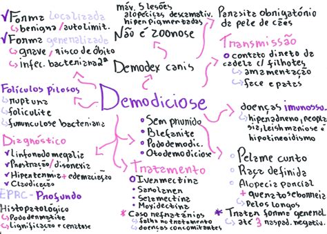 Demodiciose Sarna Demod Cica Cl Nica De Pequenos Animais