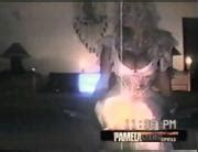 Pamela Anderson Tommy Lee Bret Michaels Sex Tapes