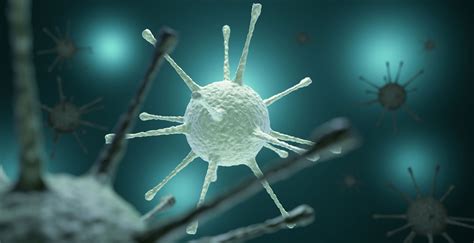 infection dna kingston training