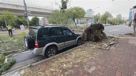 寒流颳強風！ 台中南區路樹倒塌砸中2車