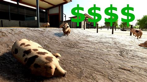 Are Pigs Worth It In Farming Simulator Fs Pigs Guide Youtube