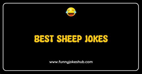 150 Best Bird Jokes That Will Have You Chirping With Laughter Funny