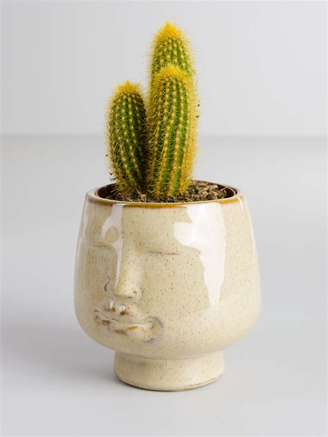 Schischi home – Artofit