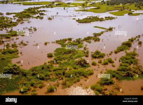 Amazon River floodplain in flood near Iquitos aerial Stock Photo - Alamy