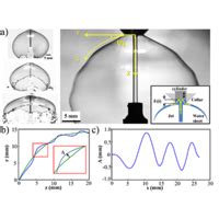 Phys Rev Fluids R Growth And Nonlinear Response