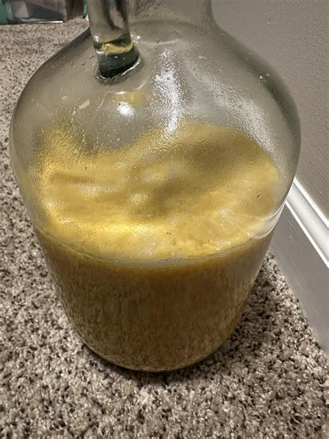 Hooch is bubbling very fast : r/prisonhooch