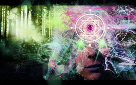secret   soma plant american institute  vedic studies