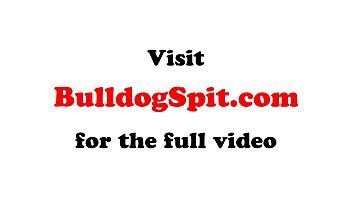 Semental inglés a cuatro patas perforado a cuatro patas XVIDEOS