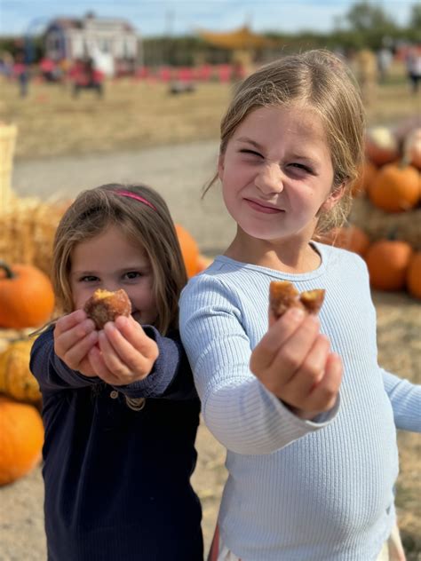 Discover exactly what 5 below spokane valley stocks for the holidays 33