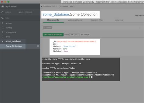 How To Insert A Mongodb Document Using The Golang Driver Objectrocket