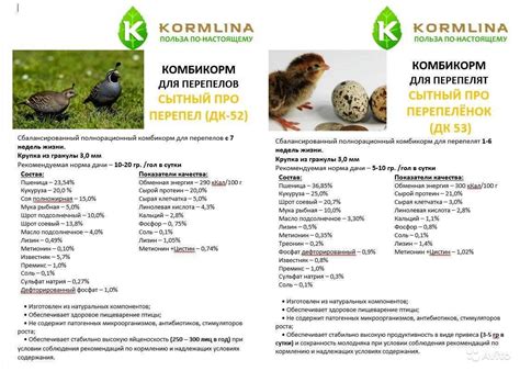 Чем кормить перепелят в первые дни жизни: рацион