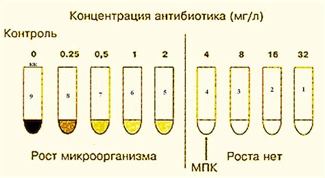 Методы определения чувствительности микроорганизмов к антибиотикам