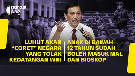 Luhut Coret Negara Yang Tolak Wni Anak Di Bawah Tahun Boleh Masuk