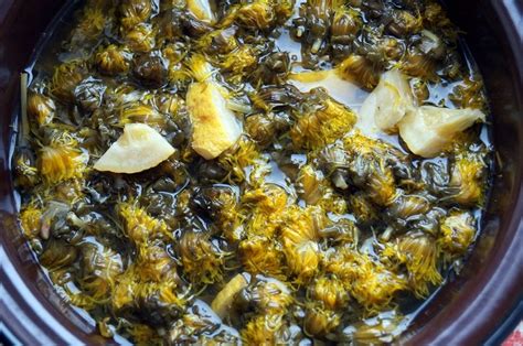 Польза одуванчика