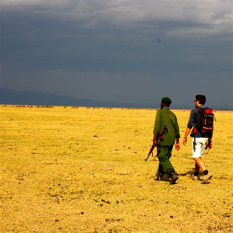 Parque Nacional Del Lago Manyara Sikia Africa