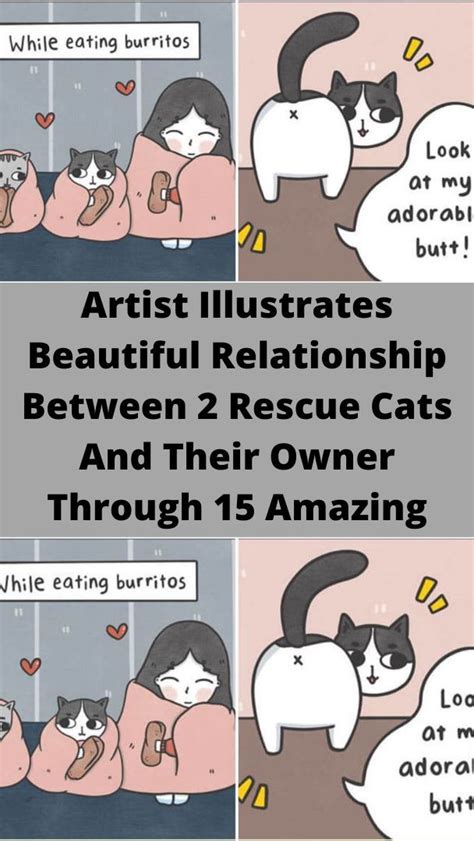 Artist Illustrates Beautiful Relationship Between 2 Rescue Cats And