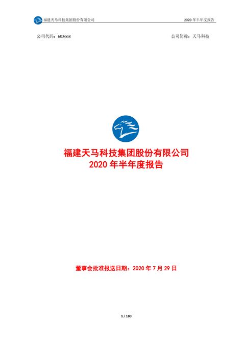 天马科技2020年半年度报告全文 洞见研报 行业报告