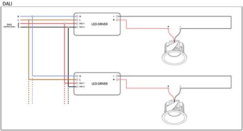 Dali Lighting Control Wiring Diagram - Schema Digital