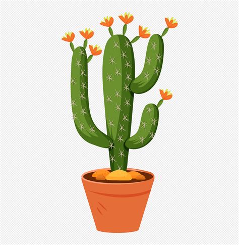 Cactus Desenho Animado Png Cactos Em Desenho Png Imagens Para The