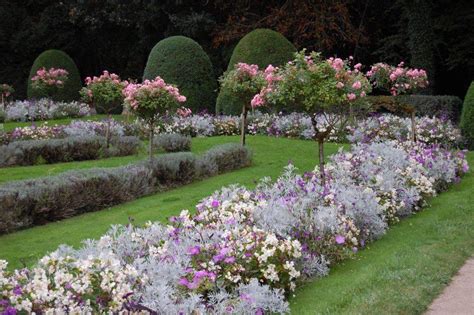 20 Small Rose Garden Design Plans Ideas To Try This Year Sharonsable