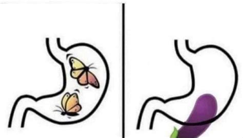 Create Comics Meme Butterfly Butterflies In The Stomach Comics