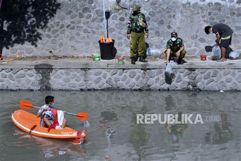 Kkp Fao Tebar Benih Ikan Endemik Di Kampar Riau Republika Online