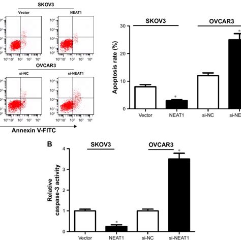 Effects Of Alteration In Neat1 Expression On Oc Cell Apoptosis Notes Download Scientific