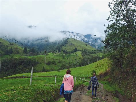 Hiking Colombia's Cocora Valley | The Wandering Blonde